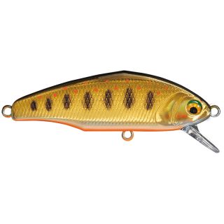 Pesce nuotatore SMITH D Incite 53