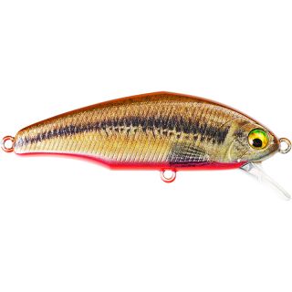 Poisson nageur SMITH D Incite 53