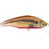 Pesce nuotatore SMITH D Incite 53