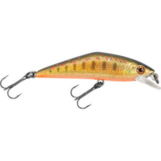 Pesce nuotatore SMITH D Contact 63 FES