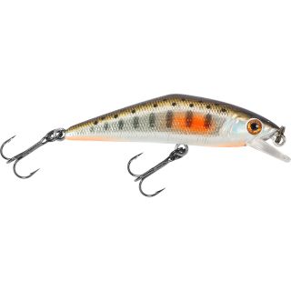 Pesce nuotatore SMITH D Contact 63 FES