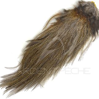 Demi croupe DEVAUX Pardo moyen