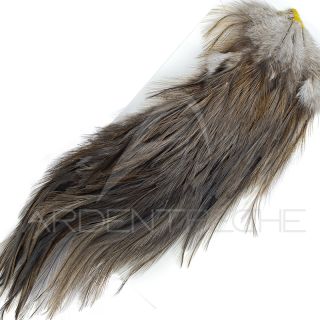 Demi croupe DEVAUX Pardo foncé