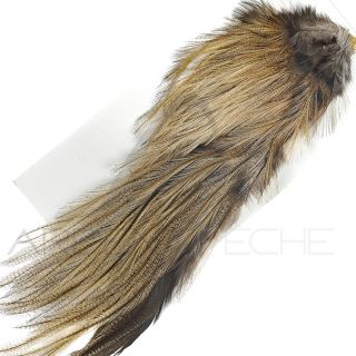 Demi croupe DEVAUX Pardo badger