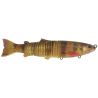 Esca morbida BIWAA S'Trout Soft 20cm