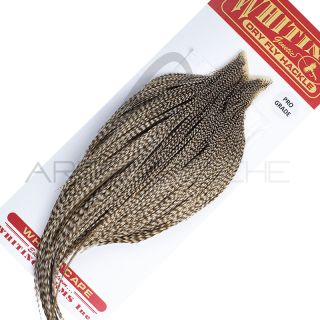 Colli di gallo WHITING Pro grade Dun Grizzly