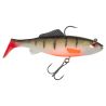 Soft bait ILLEX Sucker punch 145 MR