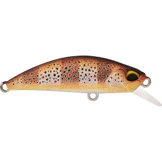 Pesciolino DUO Spearhead ryuki 38 S