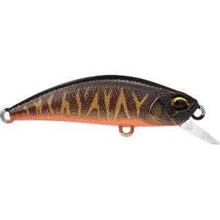 Pesciolino DUO Spearhead ryuki 38 S