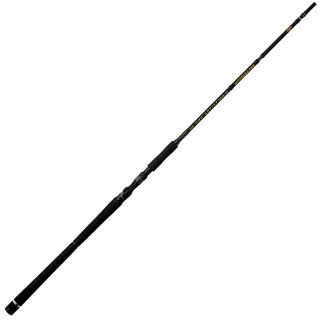 Canna casting ILLEX The artist X5 B 250 XH Notorious pike