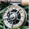 Mulinello SAGE SHIFT LT Siver Pine