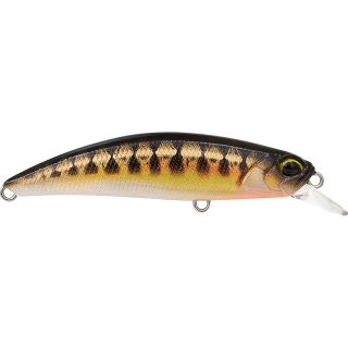 Pesce nuotatore DUO Ryuki 70 SP