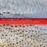 Canna TENRYU Diablo travel 50lb