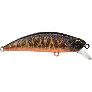 Pesciolino DUO Spearhead ryuki 60 S