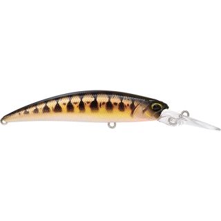 Poisson nageur DUO Ryuki 70 MDSP