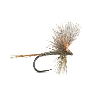 Mouche DEVAUX Emergente JBE 83 (par 3)