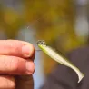 Amo singolo DECOY Worm 123 DS Hook masubari