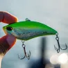 Pesce nuotatore DUO Realis apex vibe 100