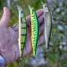 Poisson nageur DUO Realis Jerkbait 130 SP Pike LTD