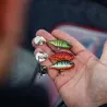 Pesce nuotatore DUO Realis spin 14g