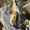 Pesce nuotatore DUO Ryuki 70 SP