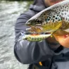 Pesce nuotatore DUO Spearhead ryuki 50 S