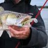 Soft bait HYPERLASTICS Minwaow round jig head 4 14g