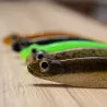 Soft lure MEGABASS Hazedong shad 5.2