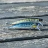 Minnow DUO Spearhead ryuki 71 S SW