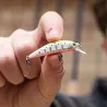Minnow SMITH D Compact FES 45