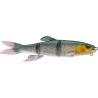 Esca morbida MEGABASS Mag draft hasu raver sinking
