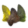 Orecchie di capriolo tinte