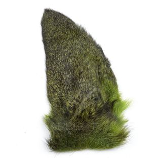 Orecchie di capriolo tinte