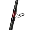 Canna surfcasting YUKI Saikou light DSC