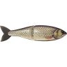 Swimbait SWIMBAIT REPUBLIC Glideway 176 F