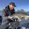 Esca morbida MADNESS Bakuree shad 150