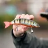 Swimbait MADNESS Balam 200