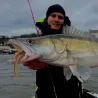 Soft bait MADNESS finesse kb 6