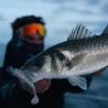 Soft bait MADNESS Madshad 2 100