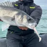 Esca morbida MADNESS Madshad 2 130