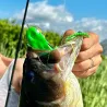 Esca morbida MEGABASS Big gabot
