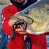 Esca morbida MEGABASS Bottle shrimp 4