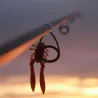 Esca morbida MEGABASS Bottle shrimp 3
