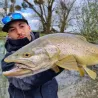 Esca morbida MEGABASS Dark sleeper 2.4 10.5g