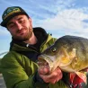 Soft bait MEGABASS Dark sleeper 3.8 21g