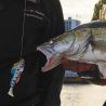 Leurre souple MEGABASS Dark sleeper 4.5 28g