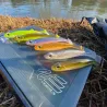 Leurre souple MEGABASS Hazedong shad 4.2