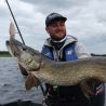 Swimbait MEGABASS I Slide 187 R Intermediate