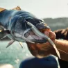 Esca morbida MEGABASS Sling shad 5