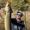 Esca morbida MEGABASS Spark shad 7